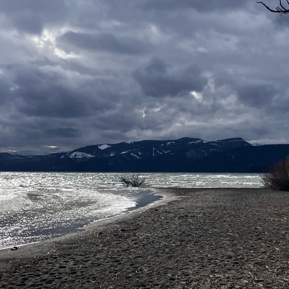 EUC Men’s Black Shorts, 36” W no name brand - Picture 4 of 4